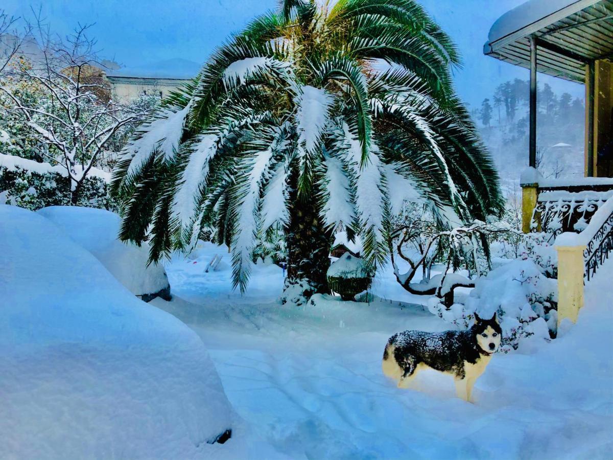 Holiday House Green Cape Batumi Hotel Mtsvane Konts'khi Exterior foto